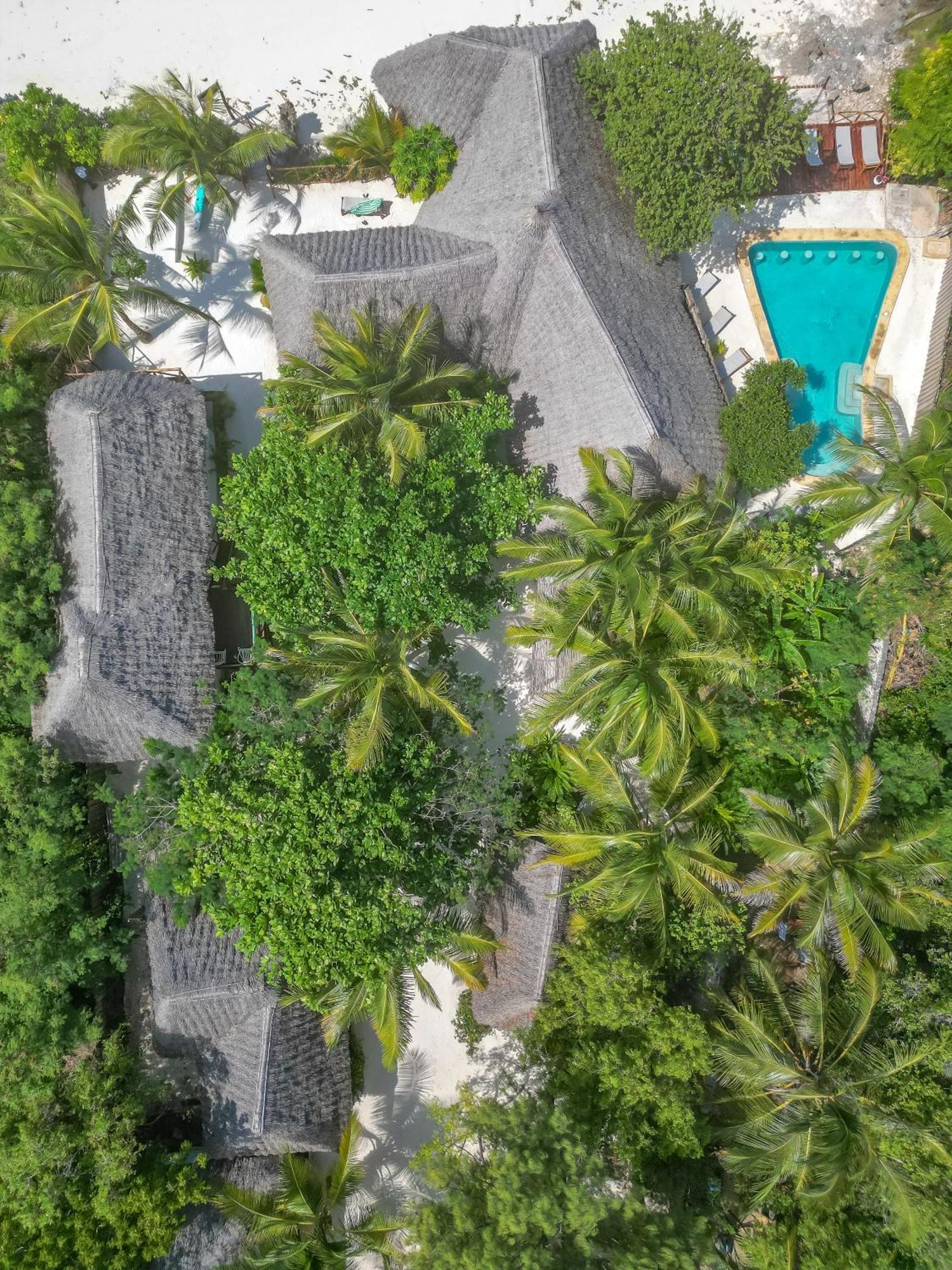 Natural Garden Boutique Hotel Jambiani  Luaran gambar