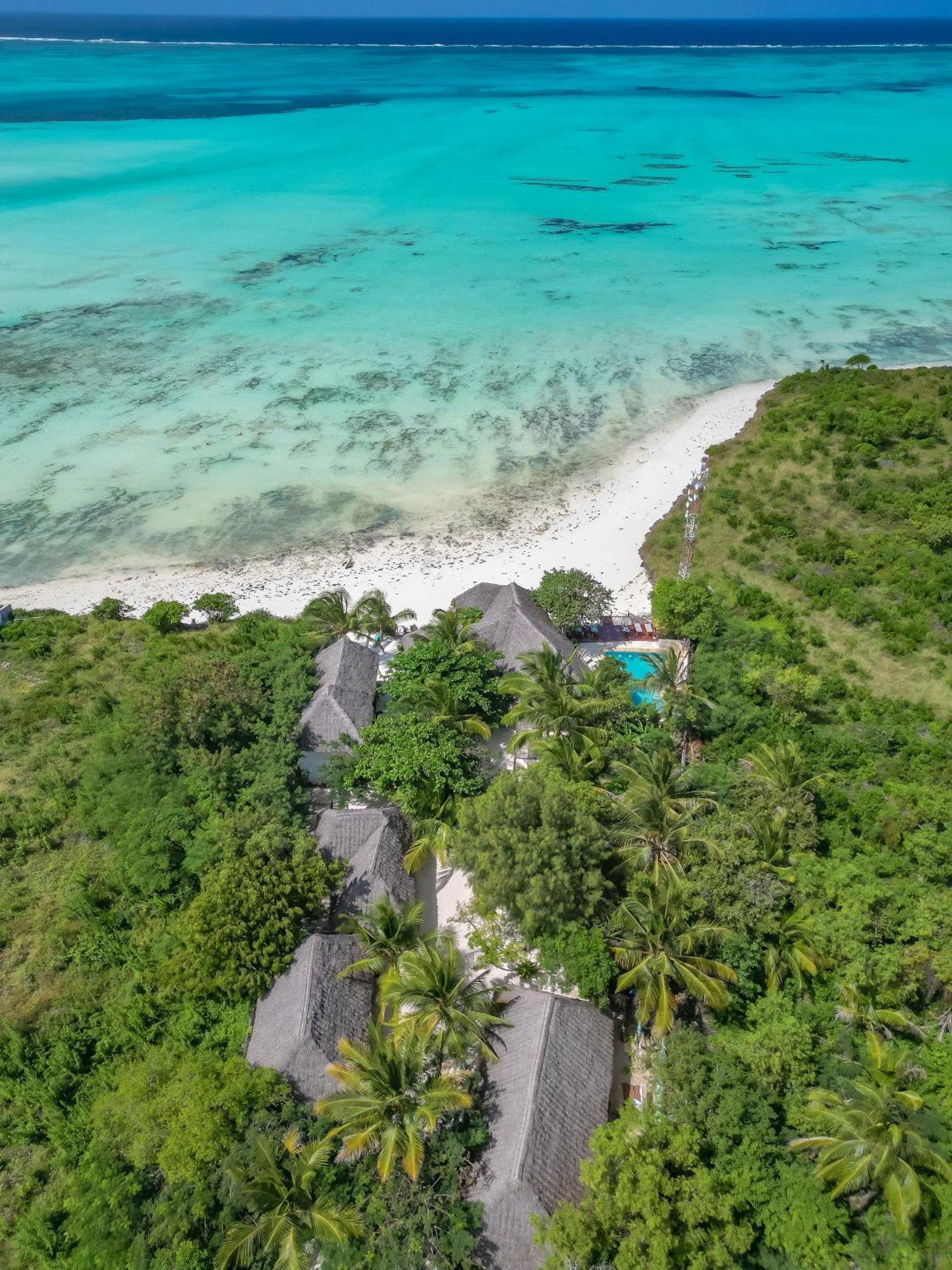 Natural Garden Boutique Hotel Jambiani  Luaran gambar