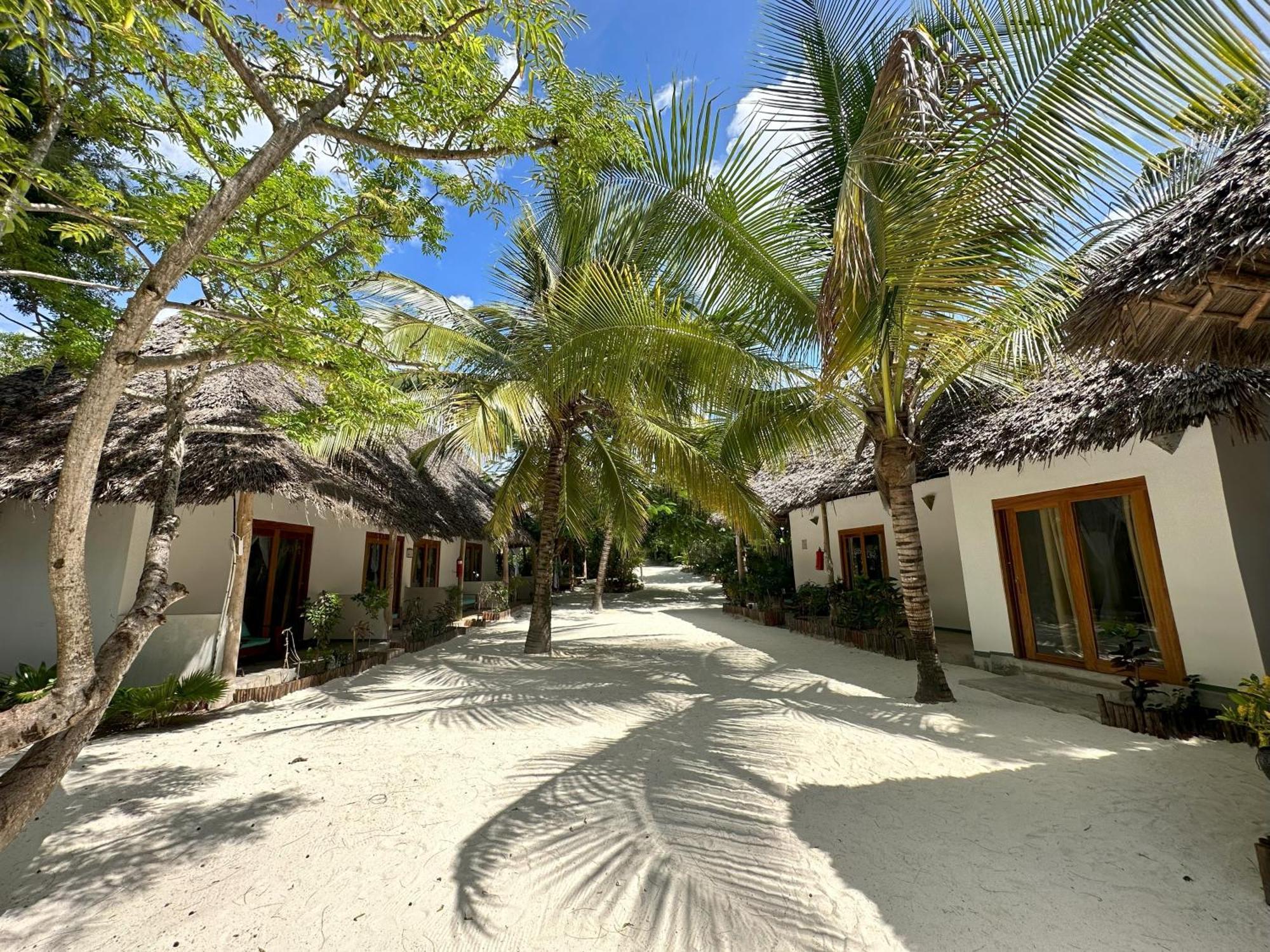 Natural Garden Boutique Hotel Jambiani  Luaran gambar